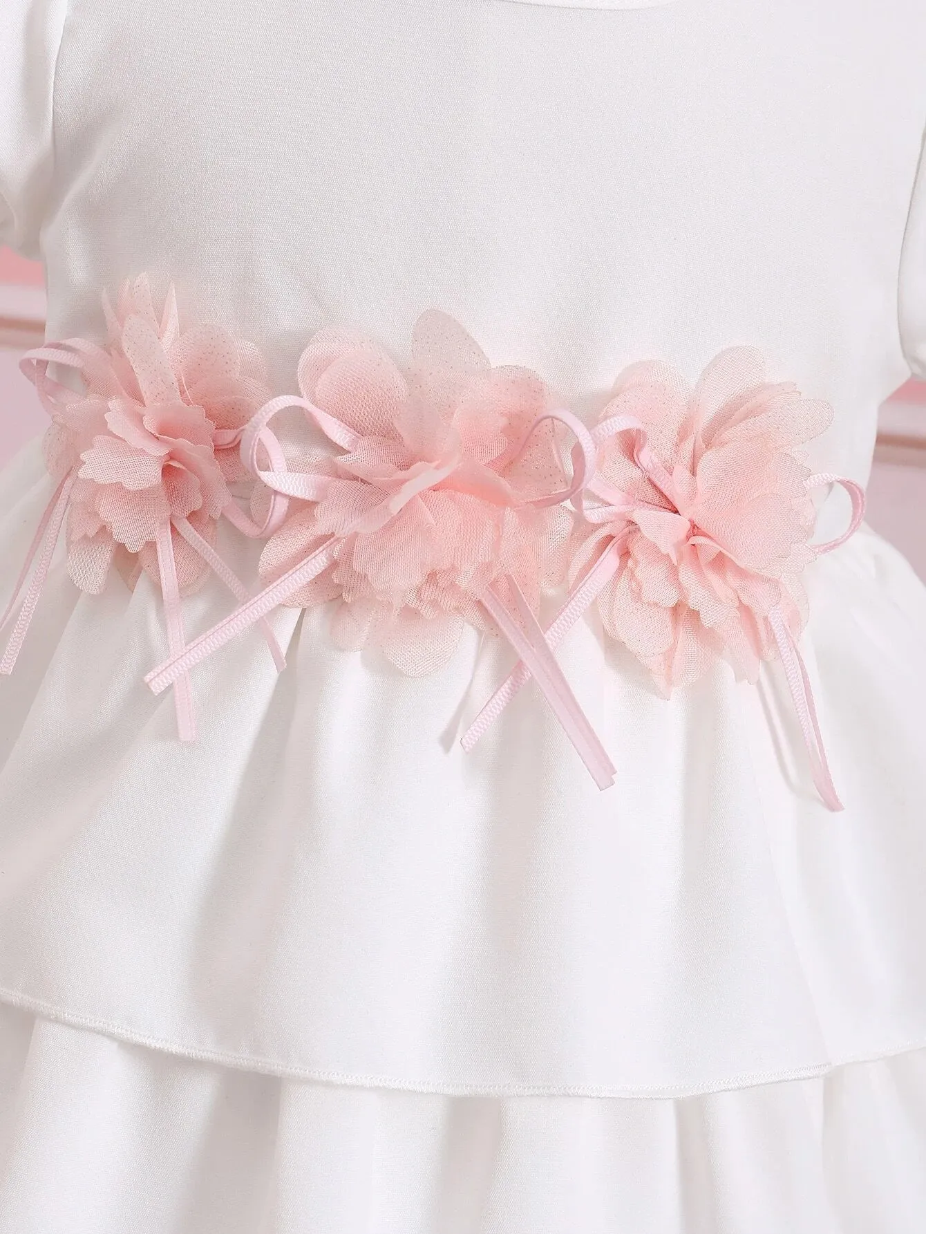 SHEIN Baby Appliques Puff Sleeve Layer Hem Dress